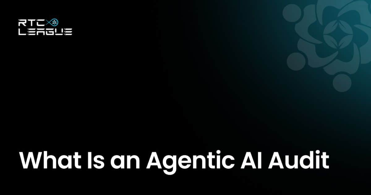 What Is an Agentic AI Audit?